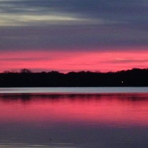 Meet your Posher, Dianne